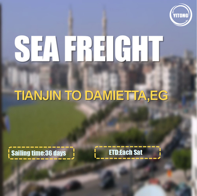 FOB CIF International Sea Freight Logistics From Tianjin To Damietta Egypt