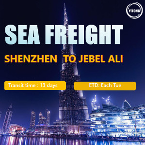 International Sea Freight from Shenzhen to Jabel Ali UAE