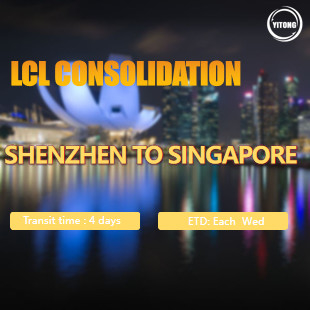 7 Days LCL Ocean Freight From China To Singapore Port To Port