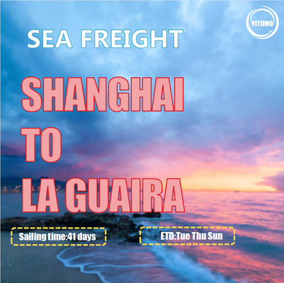 YML OOCL Liner International Sea Freight From Shanghai To La Guaira Venezuala