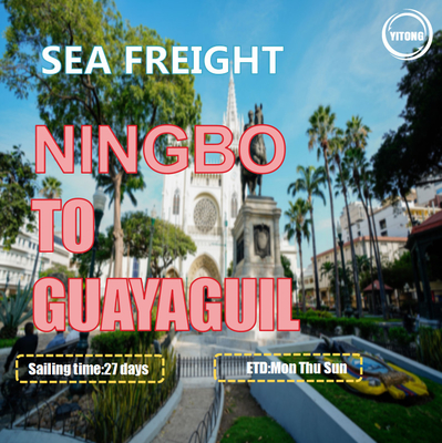 CIF CNF Worldwide Sea Freight Services Ningbo To Guayaguil Ecuador South America
