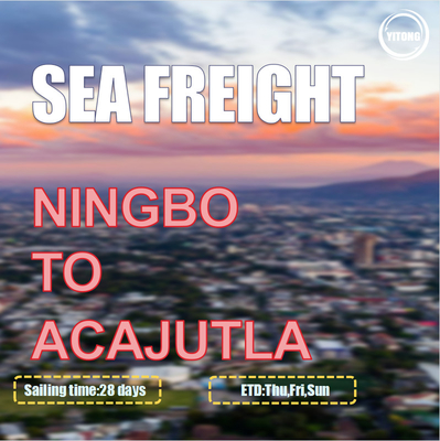 Ningbo To Acajutla Salvador Global Ocean Freight Brokers 3 Shifts Per Week