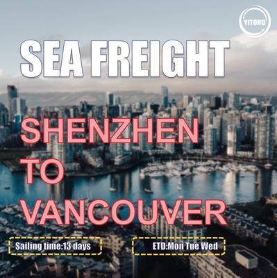 HMM YML Liner International  Sea Freight From China To Canada Vancouver