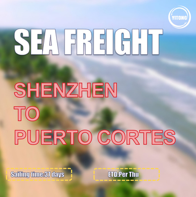 37 Days DDP DDU Sea Freight From Shenzhen To  Puerto Cortes Honduras