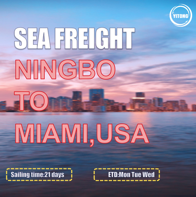 MSC EMC Liner International Sea Freight Solutions From Ningbo To Miami USA
