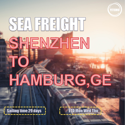 EMC YML Liner International Sea Freight Logistics  From Shenzhen To Hamburg Germany
