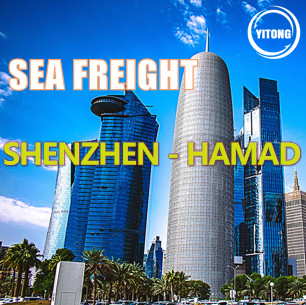 China Shenzhen To Hamad Qatar International Cargo Logistics 17 Days
