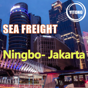 NVOCC ISEA 9 Days Worldwide Sea Freight From China To Indonesia Jakarta