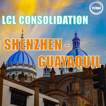 Shenzhen To Guayquil LCL International Shipping Sea Freight Service  30 days