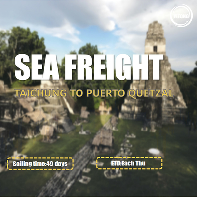 ONE HPL Carrier International Sea Freight From Taichung To Puerto Quetzal Guatemala