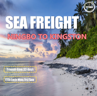 FOB CIF International Ocean Freight Service From Ningbo To Kingston Jamaica