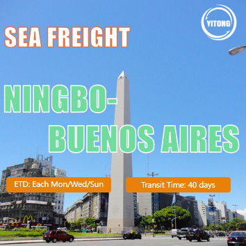 DDP DDU International Sea Freight Logistics From Ningbo To Buenos Aires Argentina