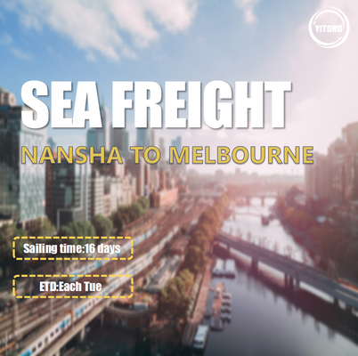 16 Days International Sea Freight Shipping From Nansha To Melbourne Australia