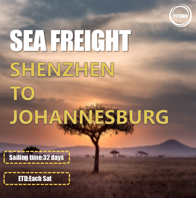 Direct Sailing Worldwide Sea Freight From Shenzhen To Johannesburg South Africa