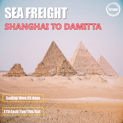3 Shifts / Week Global Sea Freight Logistics Shanghai To Damitta Egypt Direct Sailing
