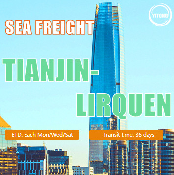 Tianjin To Lirquen Chile International Sea Freight Logistics  FOB CIF Term