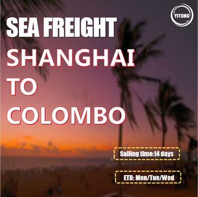 Sea Freight From Shanghai China to Colombo Sri Lanka