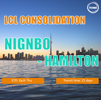 China Professional Shipping Logistis To Hamilton Or Fob Tianjin LCL Consolidation Shipping