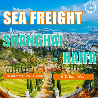 Air Services/Sea Freight Services/Logistics/Freight Forwarding From China to The Middle East