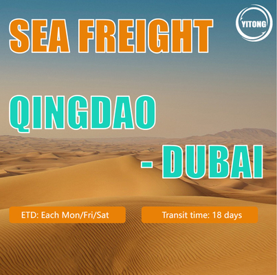 International Professional FCL LCL Sea Freight Forwarder to Dubai From China