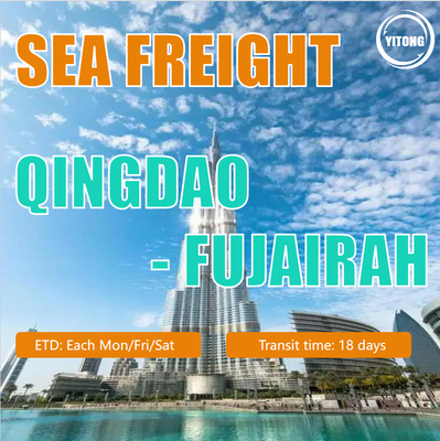 Sea Freight China to Middle East Ports FCL LCL Professional Cheapest Fast Freight