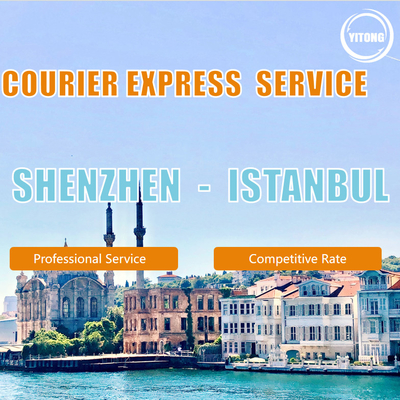 Air Services/Sea Freight Services/Logistics/Freight Forwarding From China to The Middle East