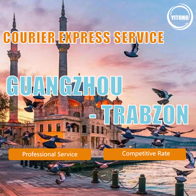 Freight Forwarder/Shipping Agent/Sea Freight Shipping/Air Shipping/Express From China to Egypt / Turkey