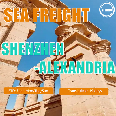 Sea Freight From China to Egypt Quick Safe Service