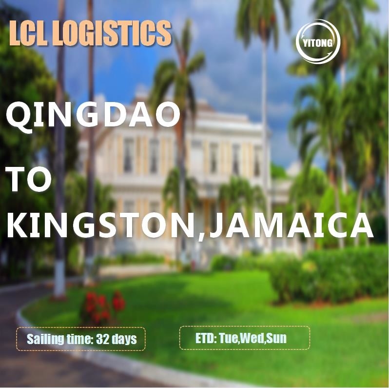 Qingdao To Kingston Jamaica LCL International Shipping And Logistics 32 Days