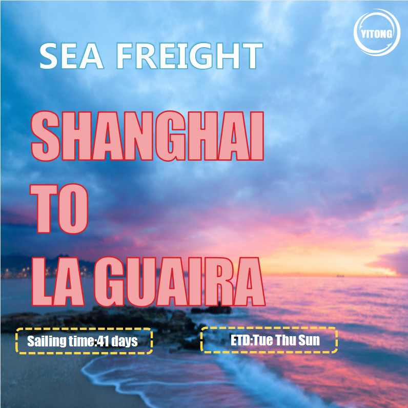 YML OOCL Liner International Sea Freight From Shanghai To La Guaira Venezuala
