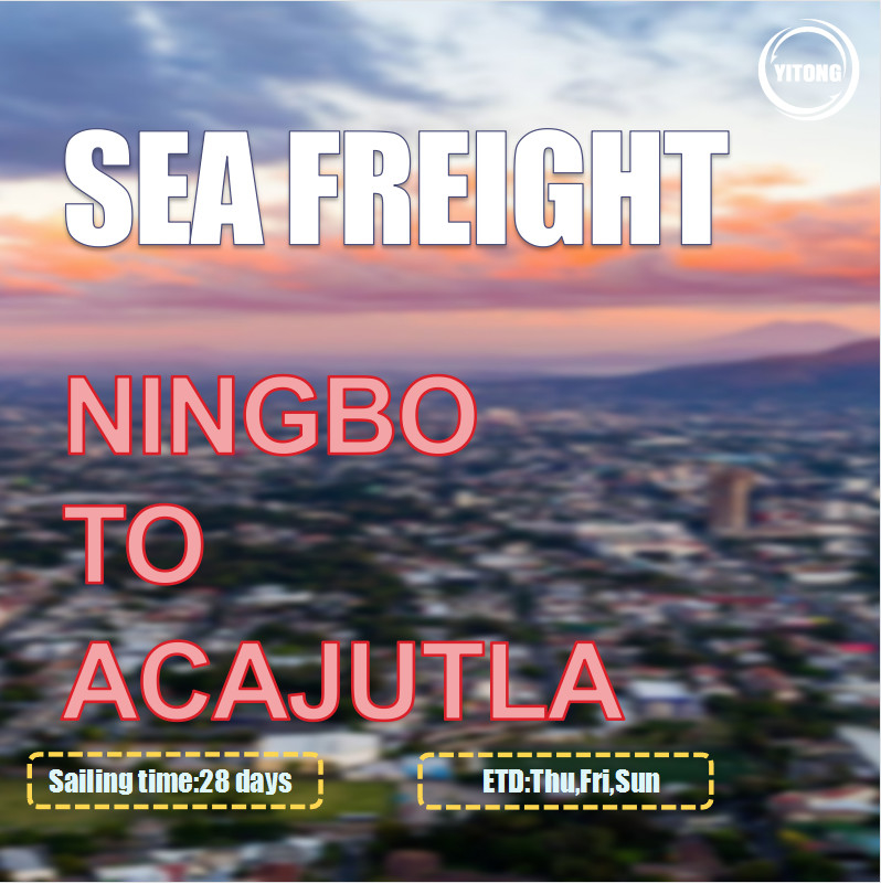 Ningbo To Acajutla Salvador Global Ocean Freight Brokers 3 Shifts Per Week