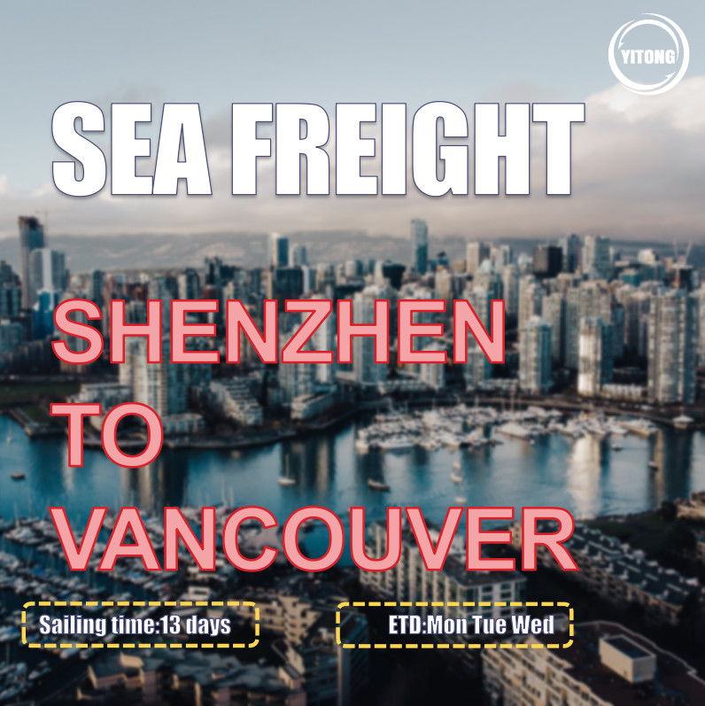 HMM YML Liner International  Sea Freight From China To Canada Vancouver