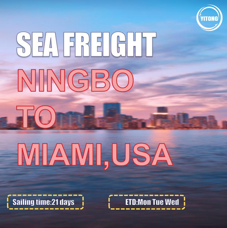 MSC EMC Liner International Sea Freight Solutions From Ningbo To Miami USA