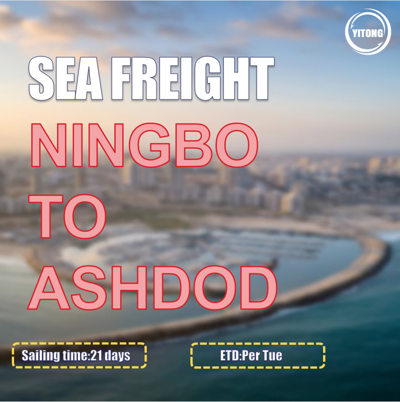 COSCO Liner Export  Ocean Cargo Logistics From Ningbo To Ashdod Israel Direct Sailing