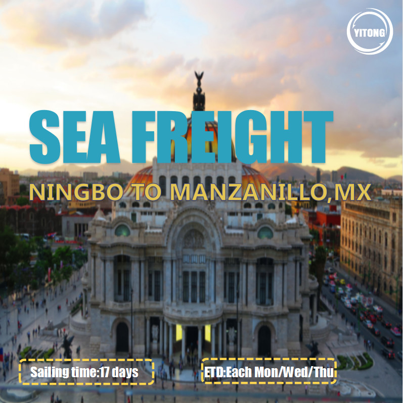 Ningbo To Manzanillo Mexico FOB CIF International Sea Freight 17 Days