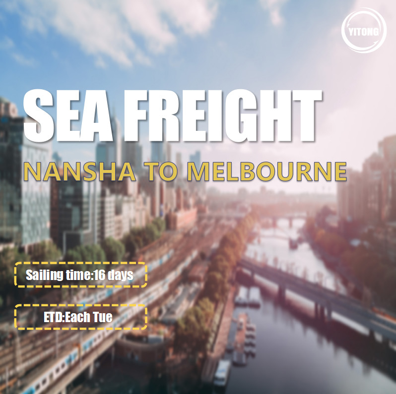 16 Days International Sea Freight Shipping From Nansha To Melbourne Australia
