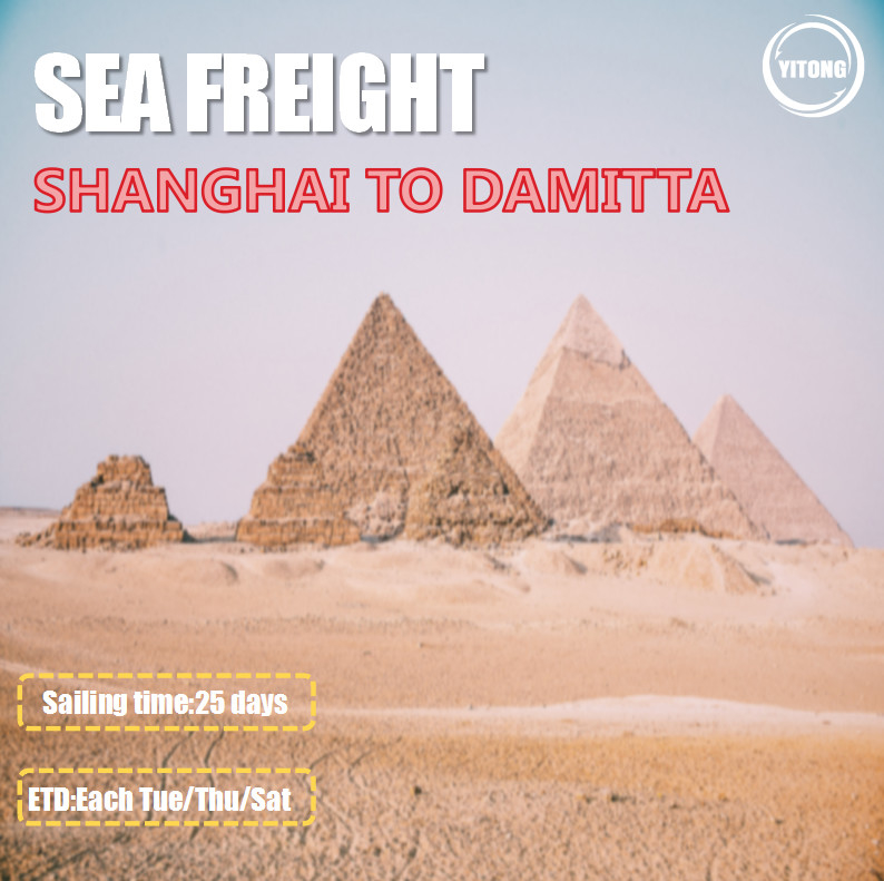 3 Shifts / Week Global Sea Freight Logistics Shanghai To Damitta Egypt Direct Sailing