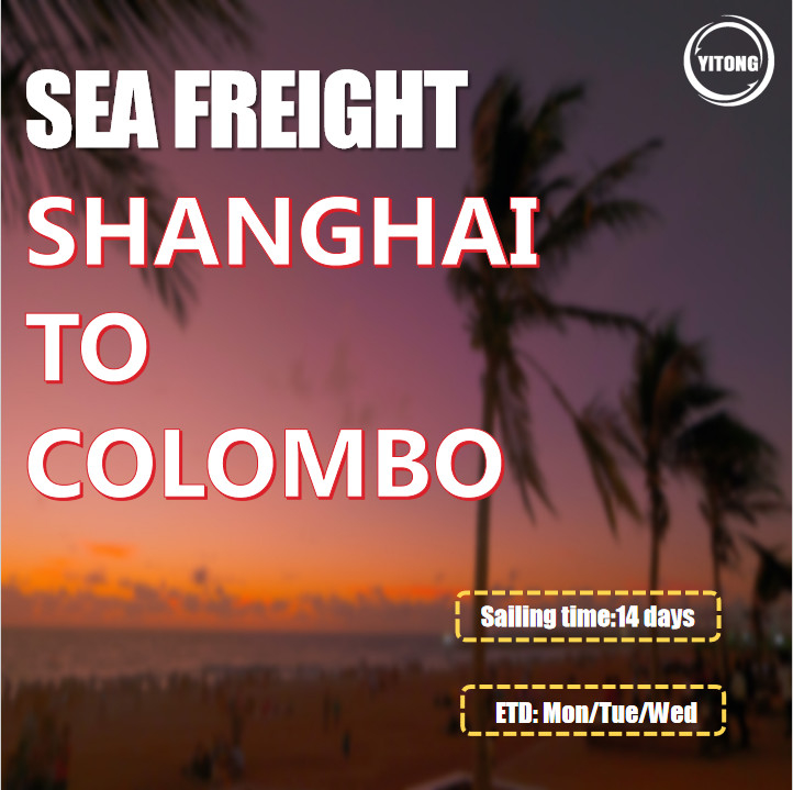 Sea Freight From Shanghai China to Colombo Sri Lanka