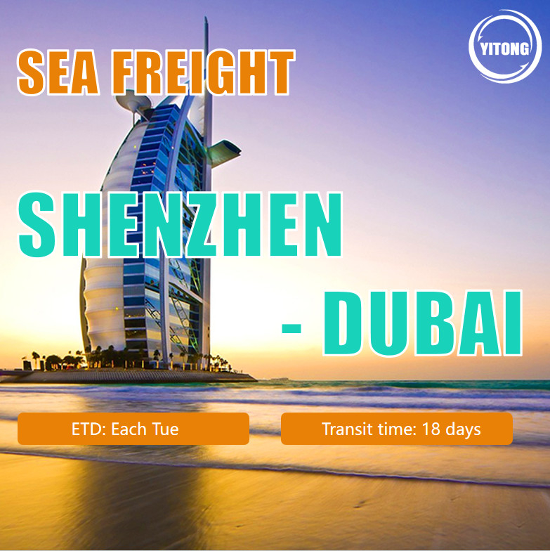 Sea Freight From Shenzhen To Dubai
