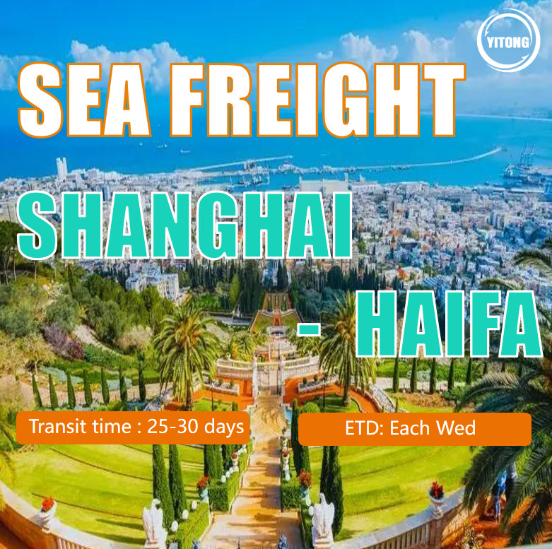 Air Services/Sea Freight Services/Logistics/Freight Forwarding From China to The Middle East