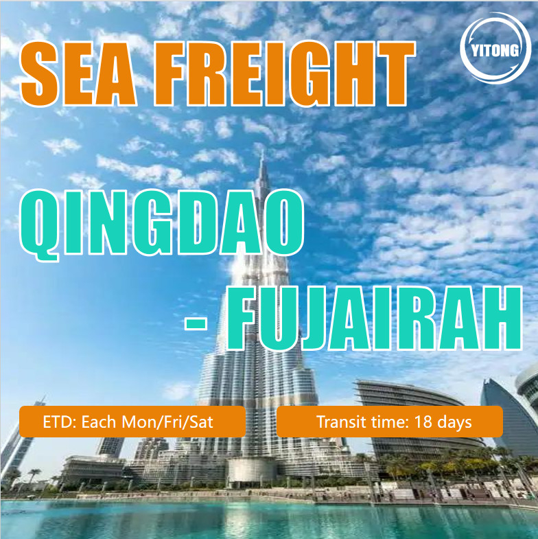 Sea Freight China to Middle East Ports FCL LCL Professional Cheapest Fast Freight