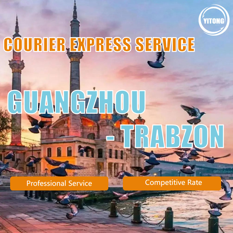 Freight Forwarder/Shipping Agent/Sea Freight Shipping/Air Shipping/Express From China to Egypt / Turkey