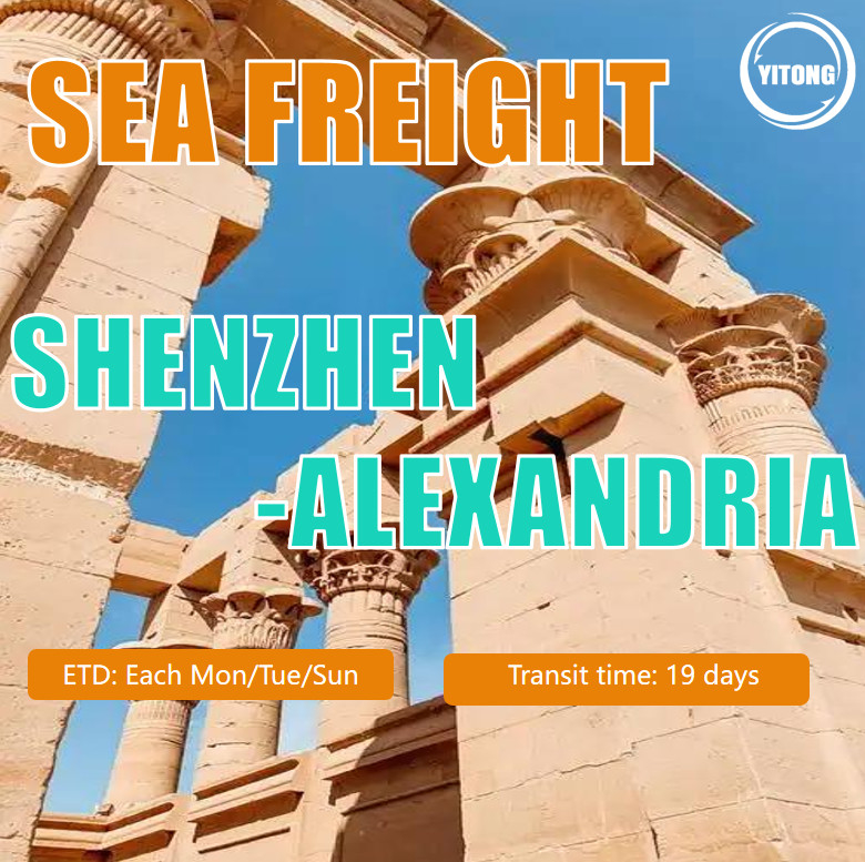 Sea Freight From China to Egypt Quick Safe Service