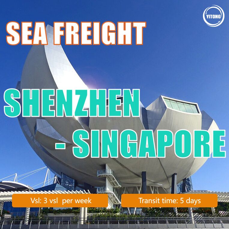 Sea Freight From Shenzhen To Singapore | China To Singapore Ocean Freight Service